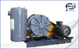 回轉(zhuǎn)式風(fēng)機